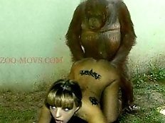 Babe fucks with animals in all holes